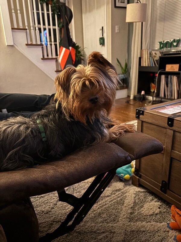 Learn More About this dog IMG 2261