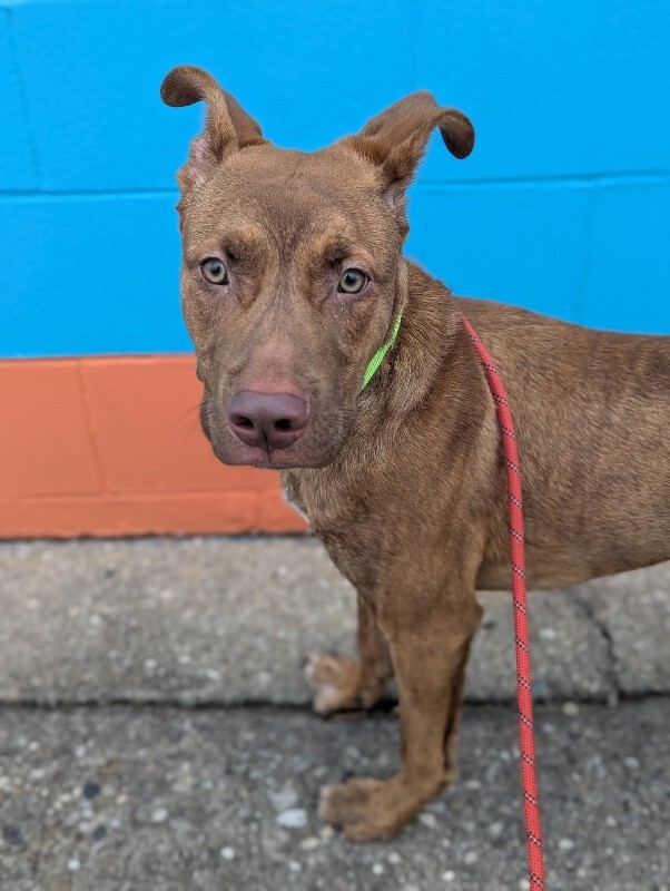 PXL 20251227 163325379.PORTRAIT