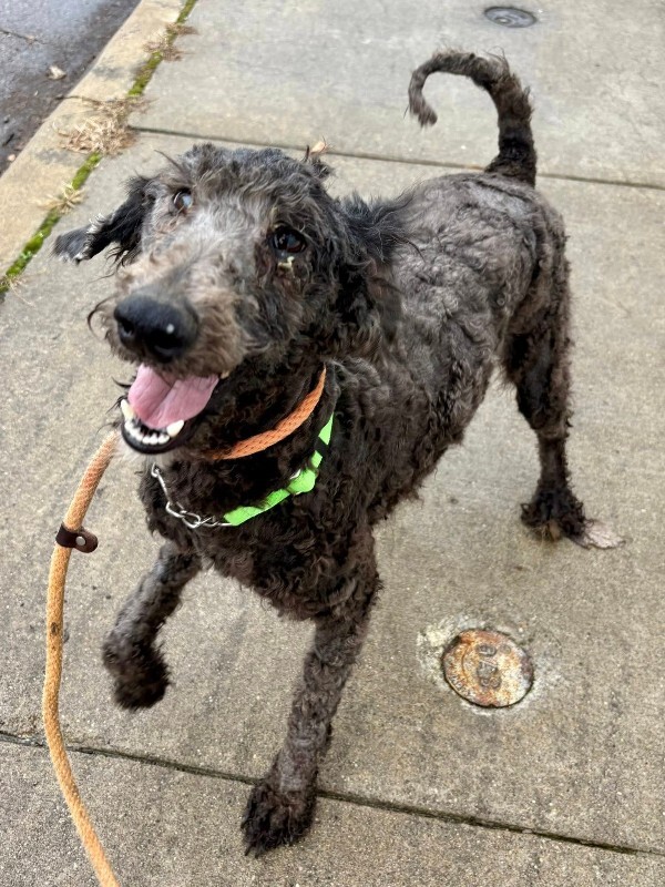 605634492 10129956934879285 3111501758900264962 n