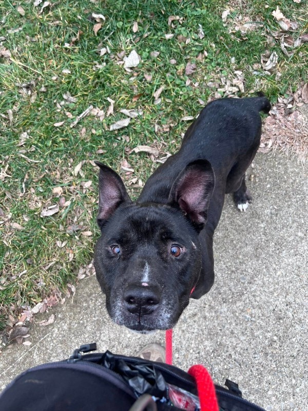 605822342 10215084819749576 6631844332011101227 n