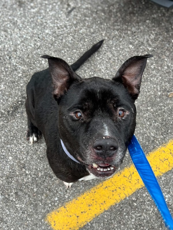 Learn More About Barrel IMG 7877 2