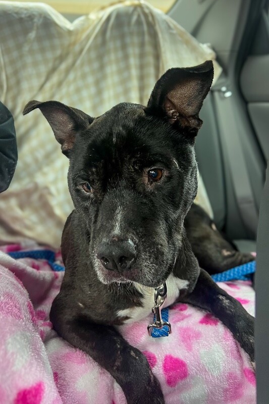 Learn More About Barrel IMG 7879