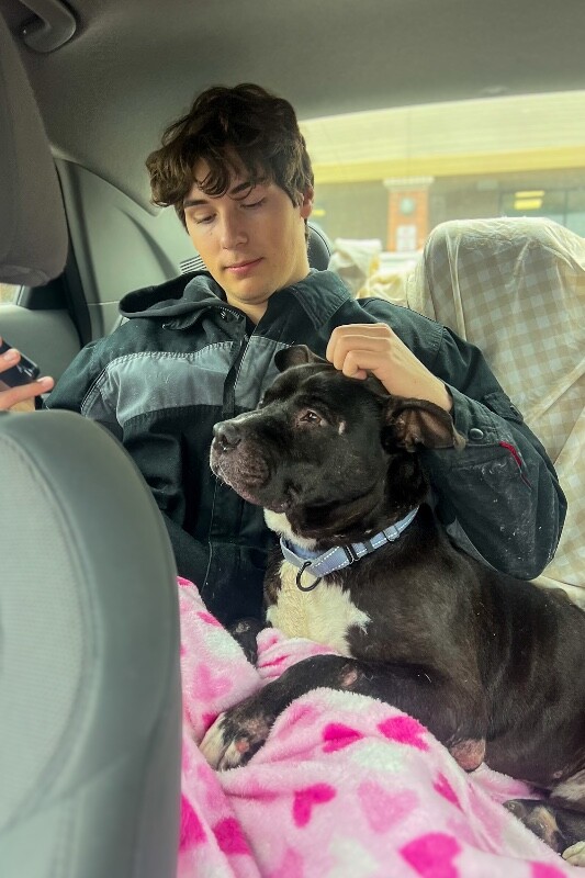 View Barrel the Dog Photo #7