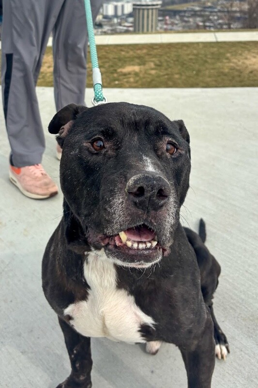 Learn More About Barrel IMG 8798 2