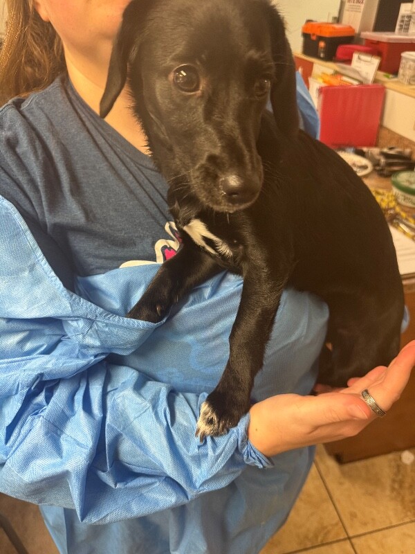 Learn More About Whoville IMG 1116