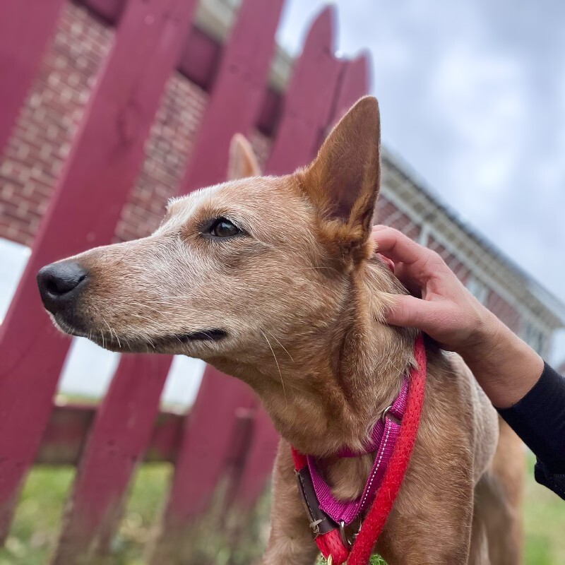 605767659 10215084817629523 1422165679976966233 n 2