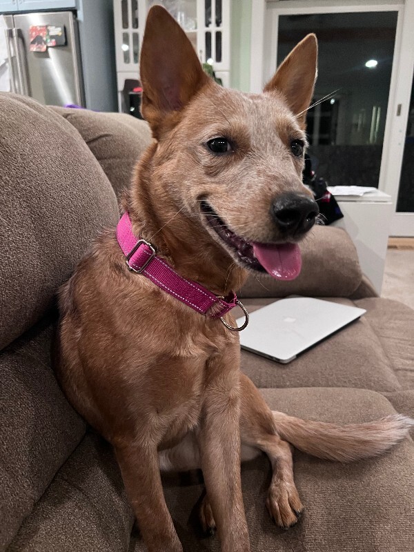 Learn More About Chantal IMG 8159