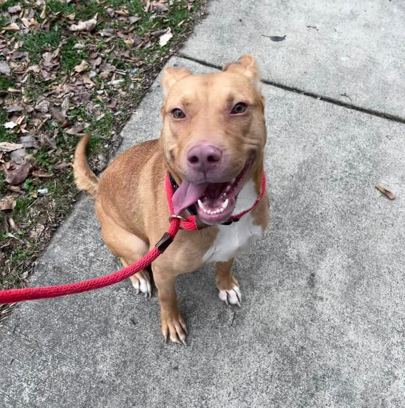 604750321 10215084817429518 9201909262285480791 n