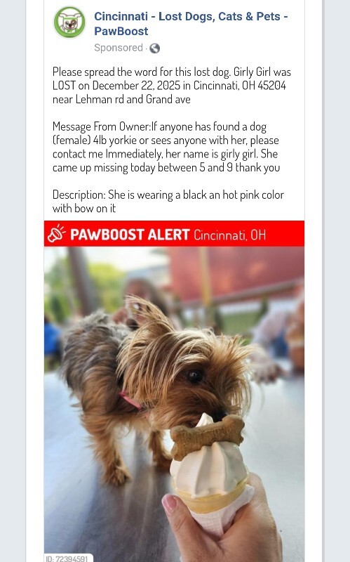 Learn More About this dog IMG 20251222 221201