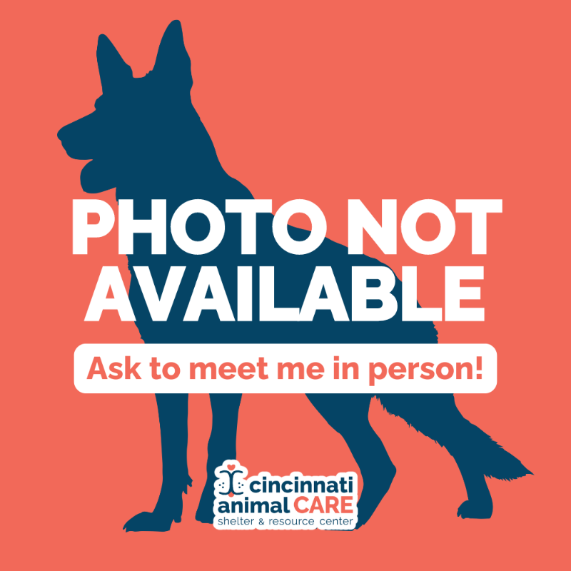 4 Shepherd Placeholder