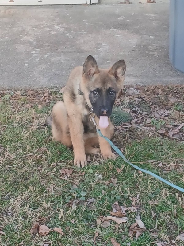 627748016 1669559814427021 4131000783524332898 n