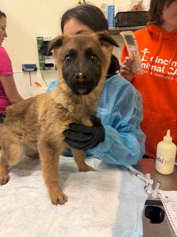 9F87B94E 5059 4F51 A595 E6D48C347487