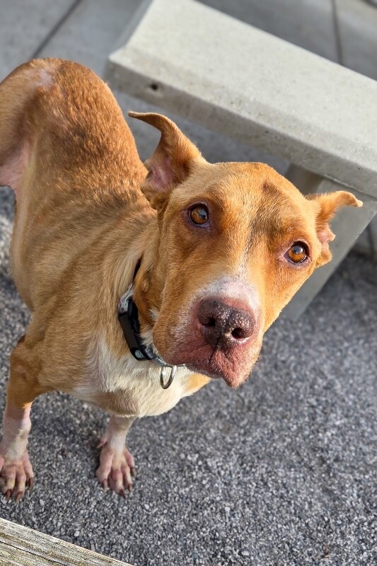 Learn More About Mermaid 20260122 131339