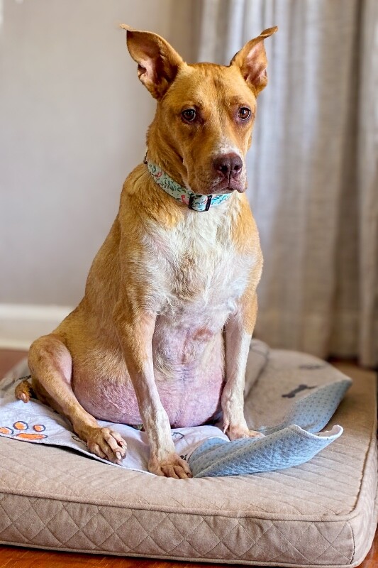 99A14765 D226 42DA 93EA 20A67B1561A1