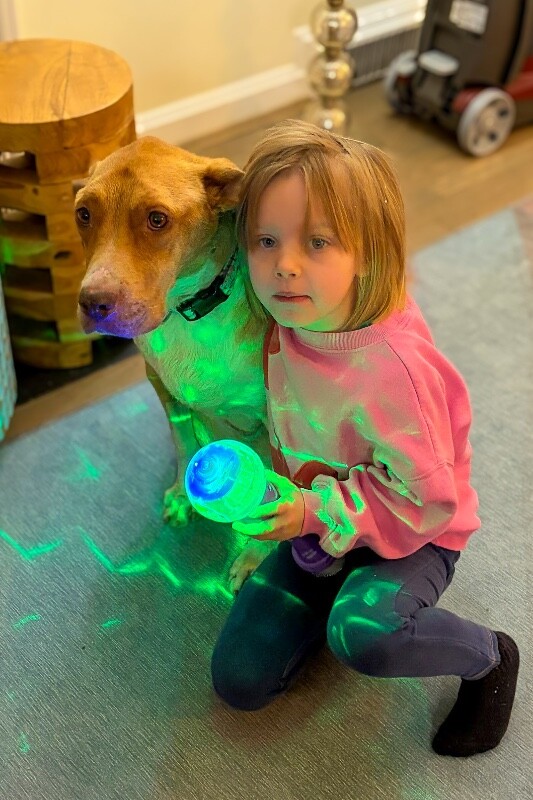 View Mermaid the Dog Photo #8