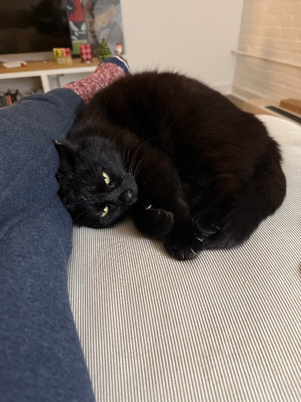 IMG 9007 Lindsay Sasson