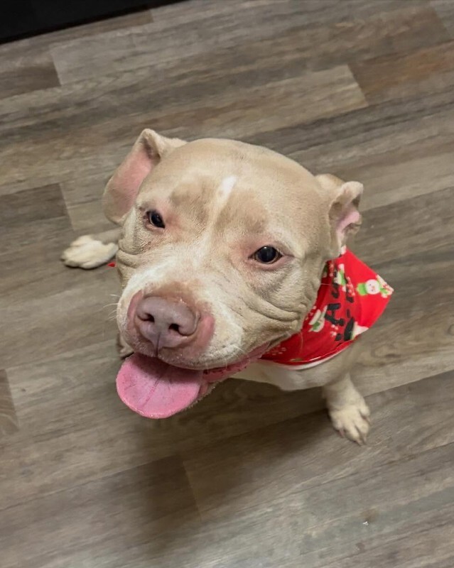 610805672 18554238061017988 5715985439376372401 n 2