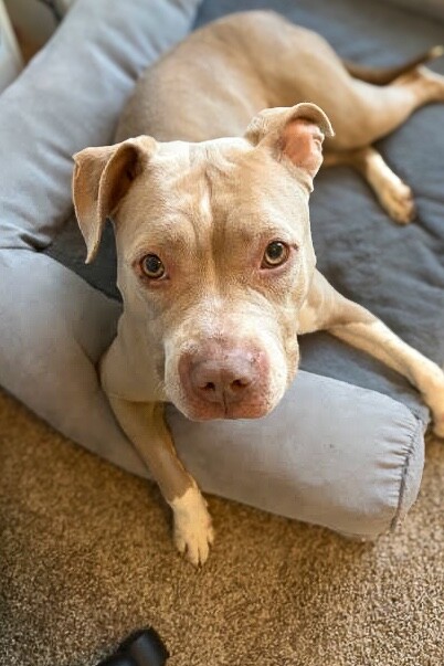 Learn More About Snowflake unnamed 1 2