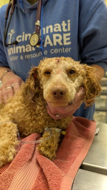 PXL 20251230 192913379.MP