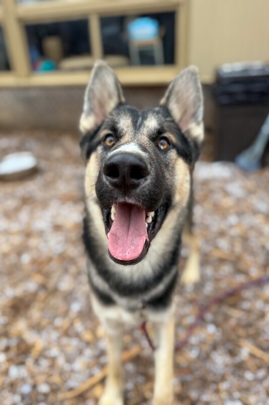 Learn More About Sike IMG 2612