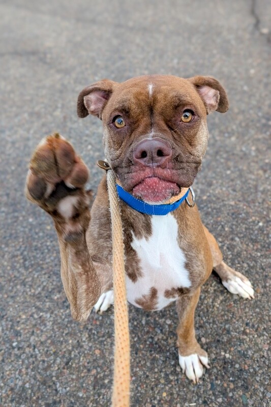 PXL 20260108 150335293