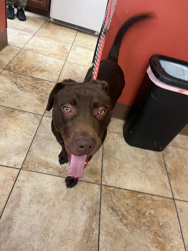 image0 2026 01 02T123754.279