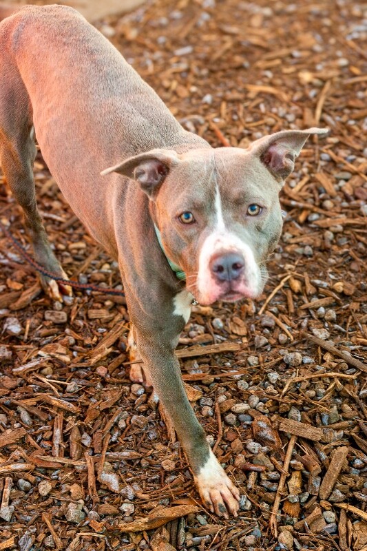 PENTAX K20D 4864x3136 000281 Enhanced NR