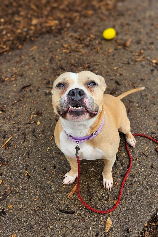 616232560 10164384715104560 1508182542026386570 n