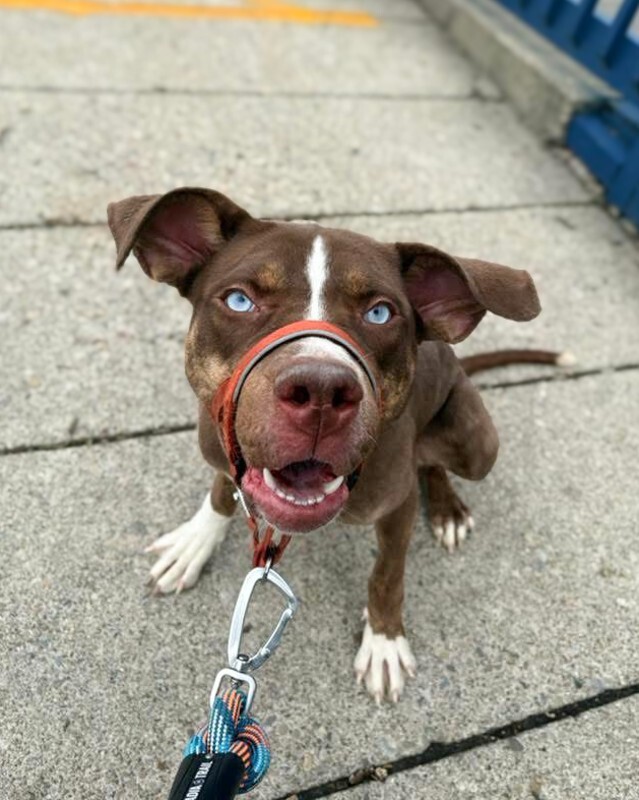 Learn More About Scarlett IMG 8235 2