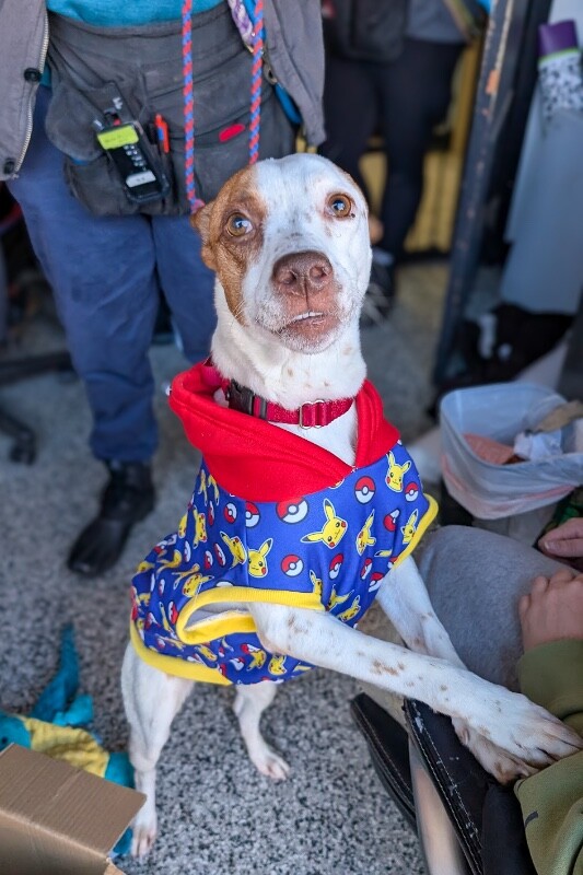 Learn More About Scrunchie PXL 20260120 163629595