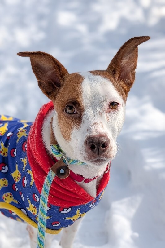 PXL 20260208 171849703.PORTRAIT 2