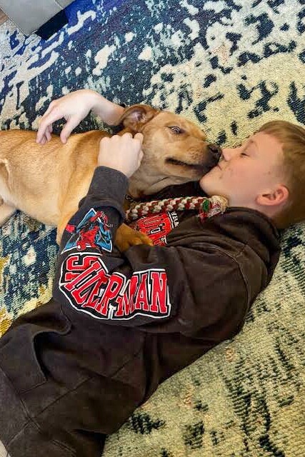 View Cortado the Dog Photo #4