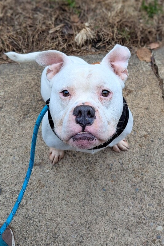 PXL 20260111 170816844