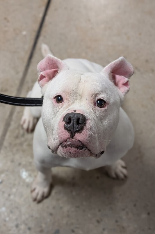 PXL 20260206 185115077.PORTRAIT 2