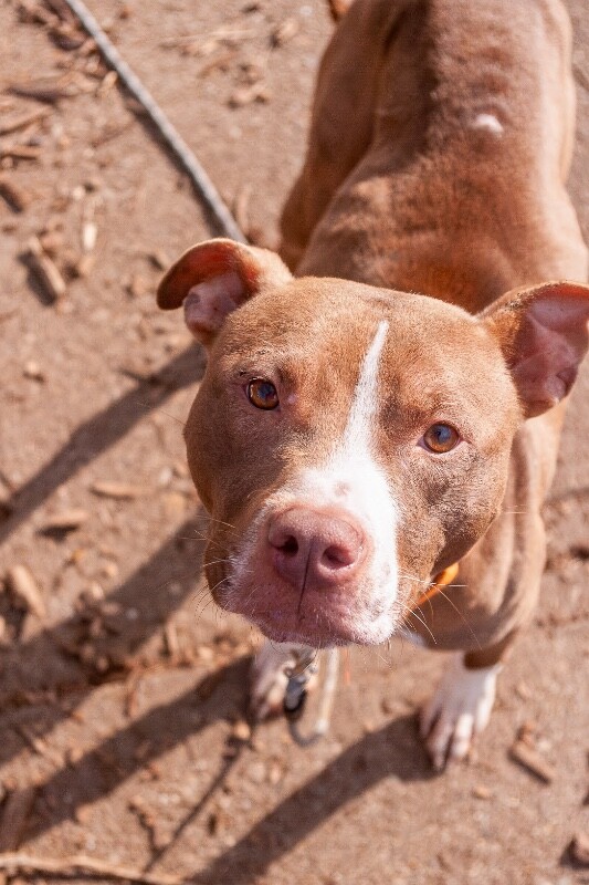 IMGP3905 Enhanced NR