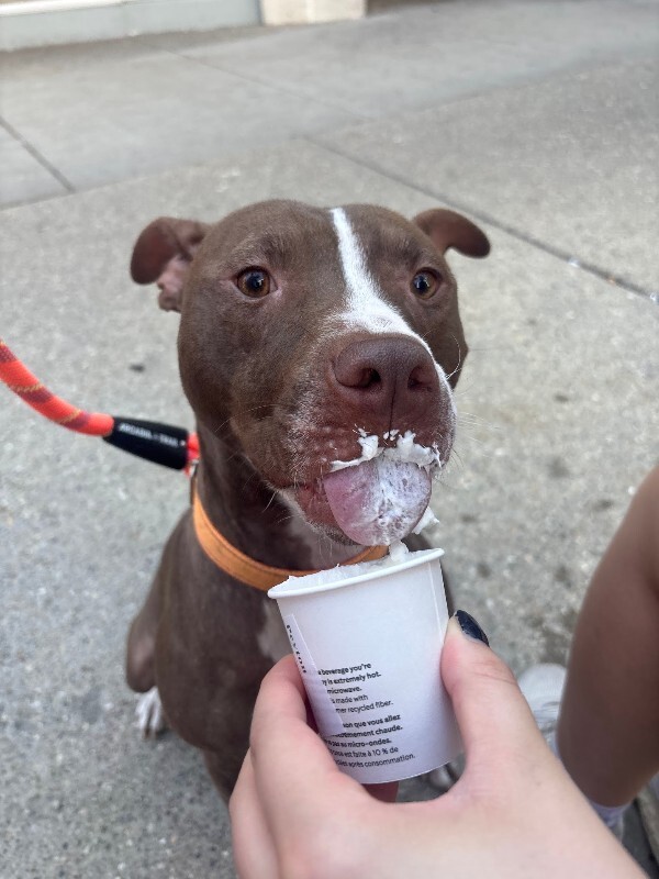 View Mike Wheeler the Dog Photo #5