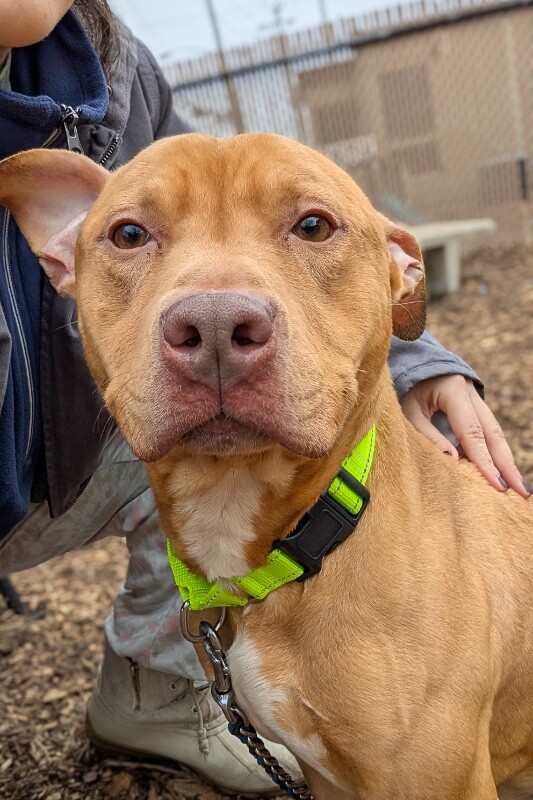 PXL 20260116 210319285.MP