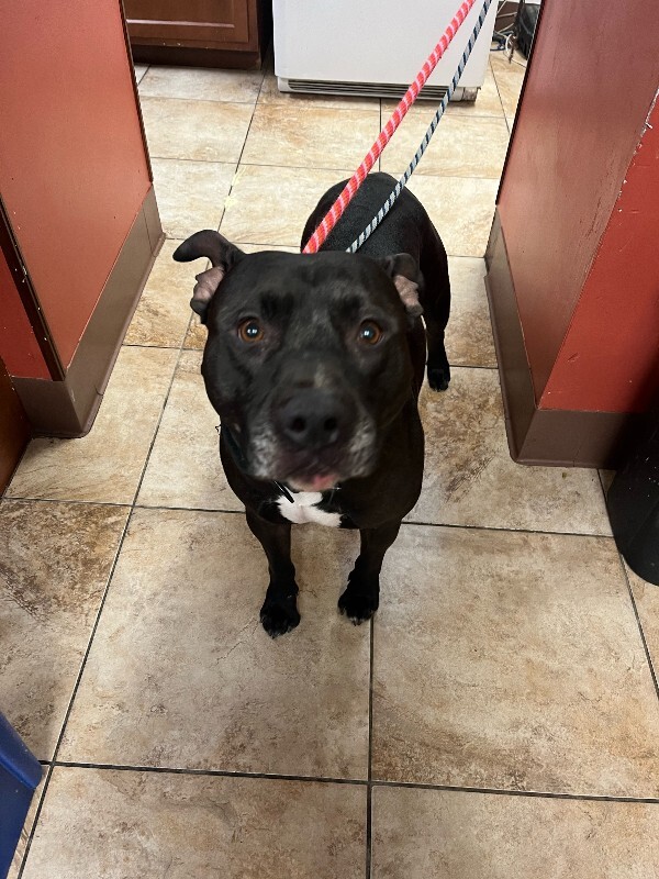 image4 2026 01 05T165833.588