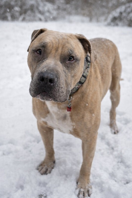 625169971 10113462664718995 2794575170455801507 n