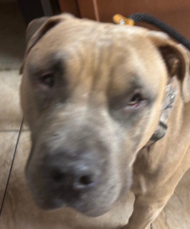 Learn More About The Chosen One IMG 0909