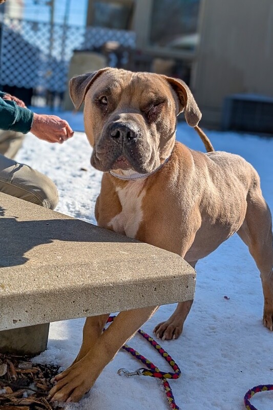 PXL 20260210 160434774