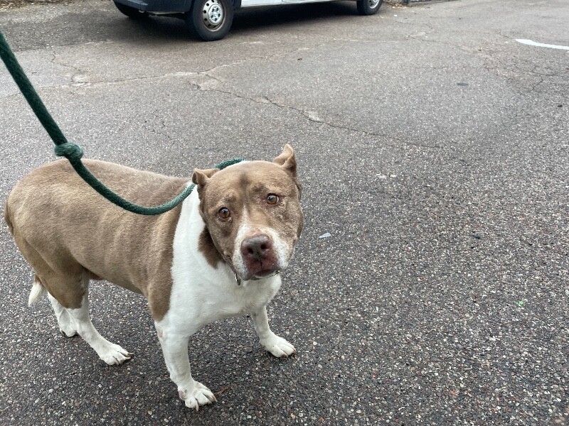 1BFB26ED 370A 4E32 805F 46F57A1D96FD