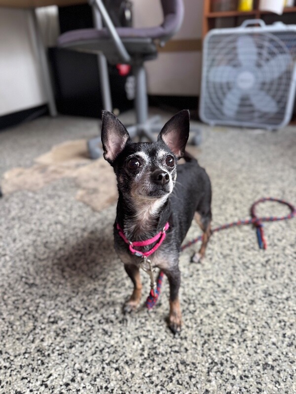 Learn More About One Above All IMG 8157