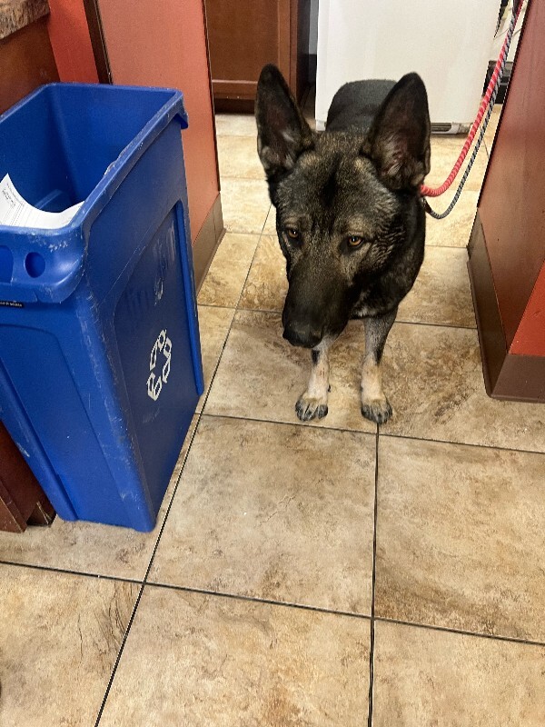 Learn More About Loch Ness image0 2026 01 07T162343.663