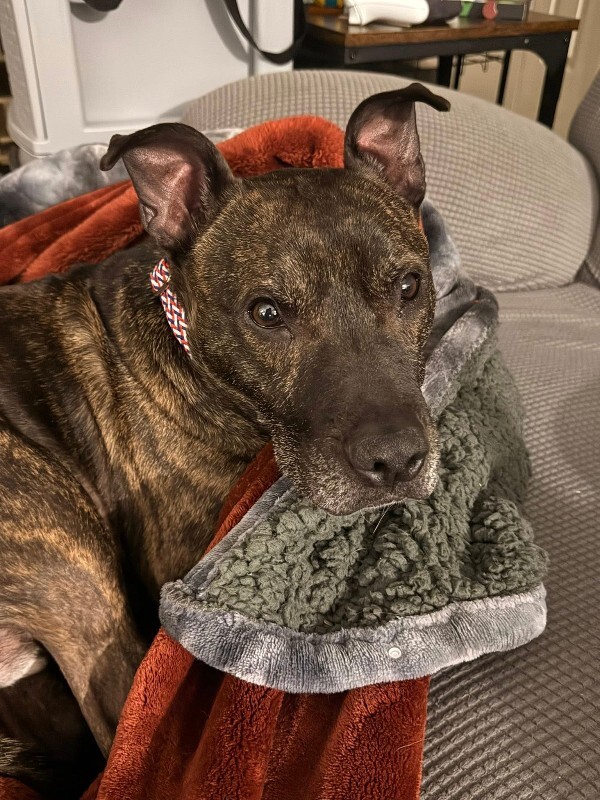 622291350 3478781348946798 4398060165179777071 n