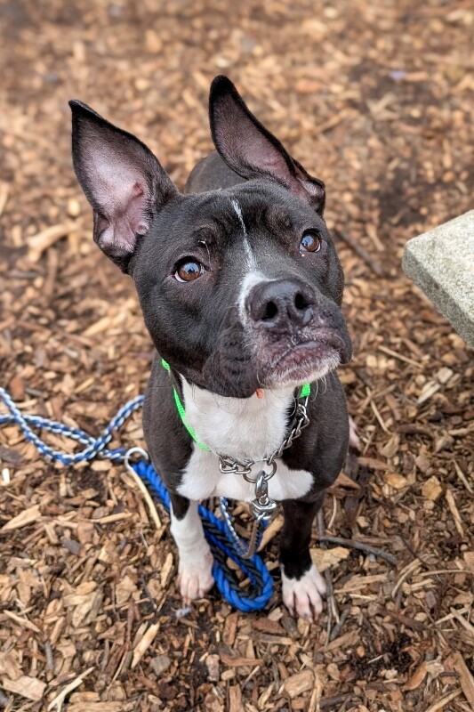 PXL 20260116 205743534.MP