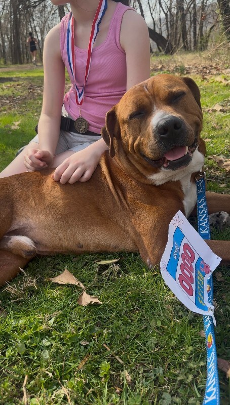 View Devin the Dog Photo #16