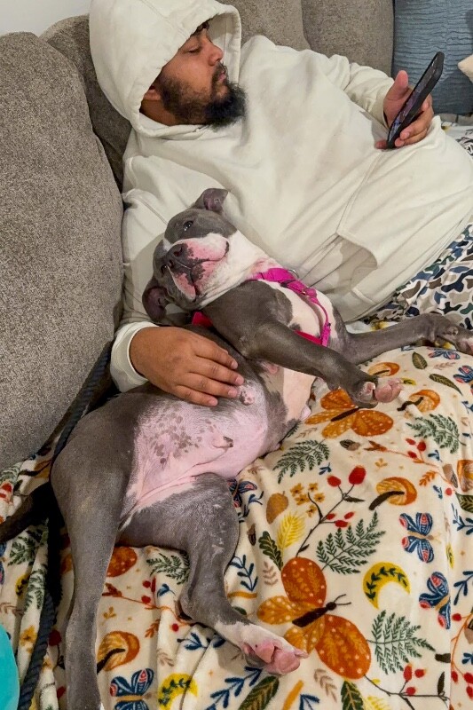 View Janis Joplin the Dog Photo #2