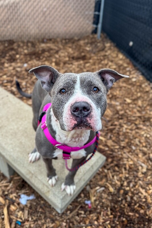 Learn More About Janis Joplin IMG 8700