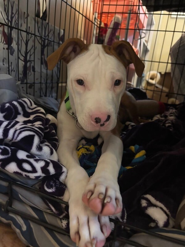 615341906 122319927206009414 4031564019975072617 n